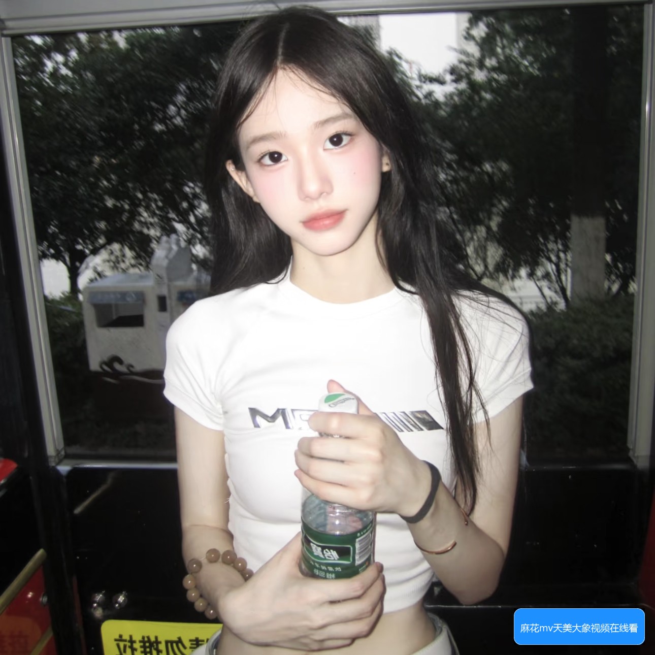 麻花MV、果冻MV、梦幻MV和蘑菇MV有哪些不同之处和亮点解析