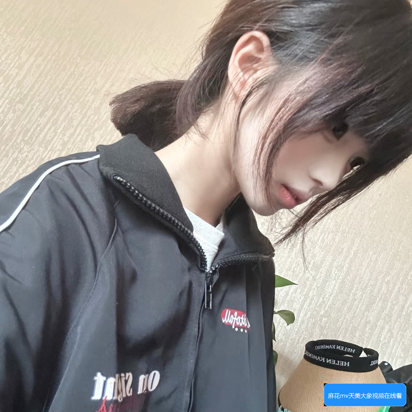 麻花MV蘑菇视频怎么下载及观看的方法详解