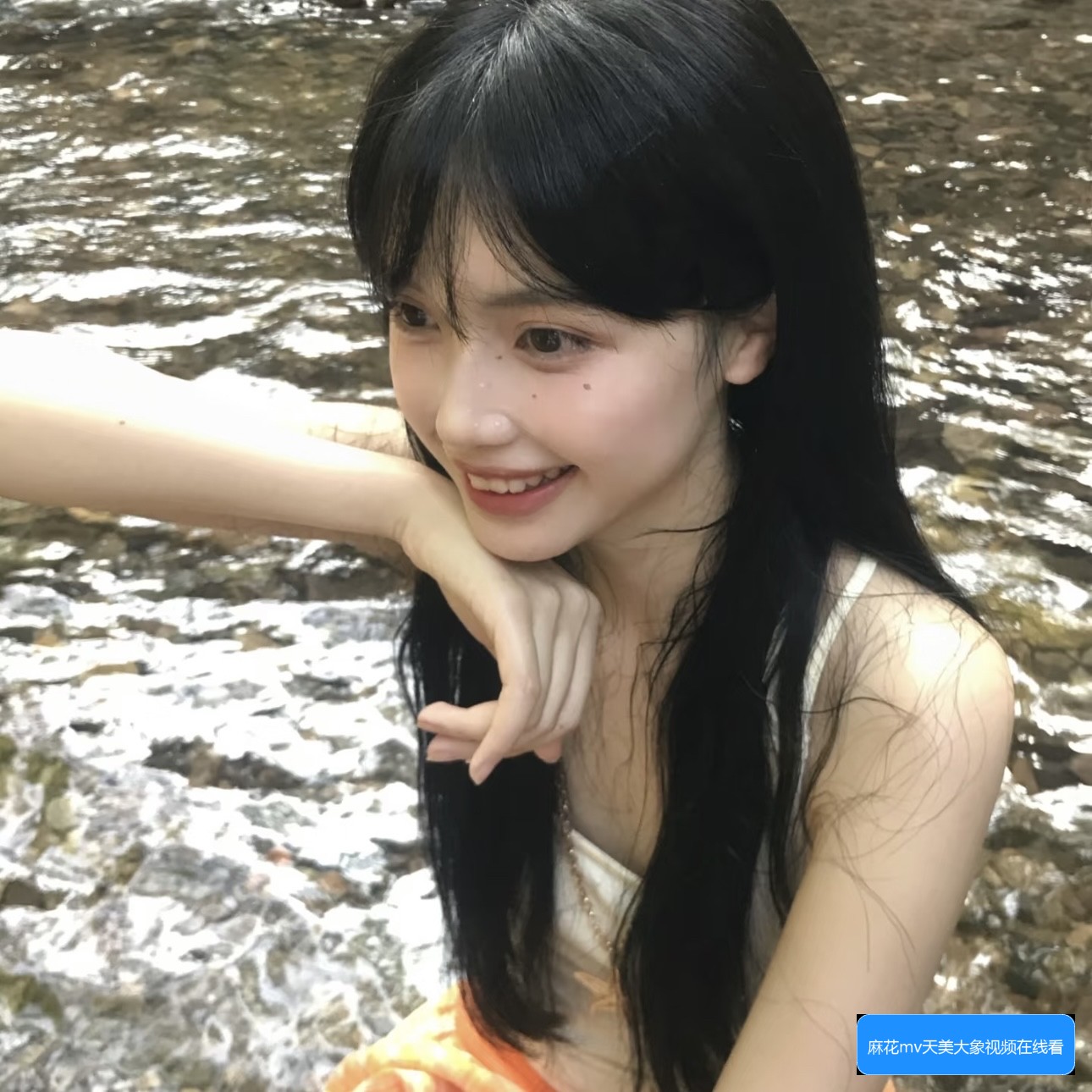 麻花MV、果冻MV和梦幻MV有哪些不同之处，蘑菇元素在其中的作用解析